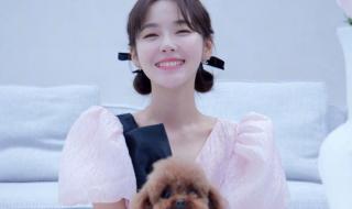 一闪一闪亮星星票房 一闪一闪亮星星票房